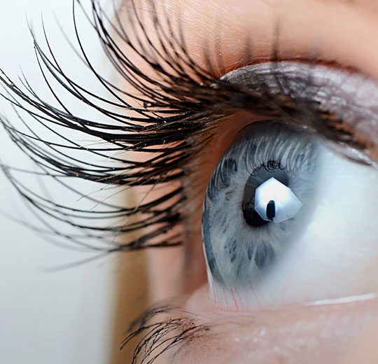 Ophthalmic